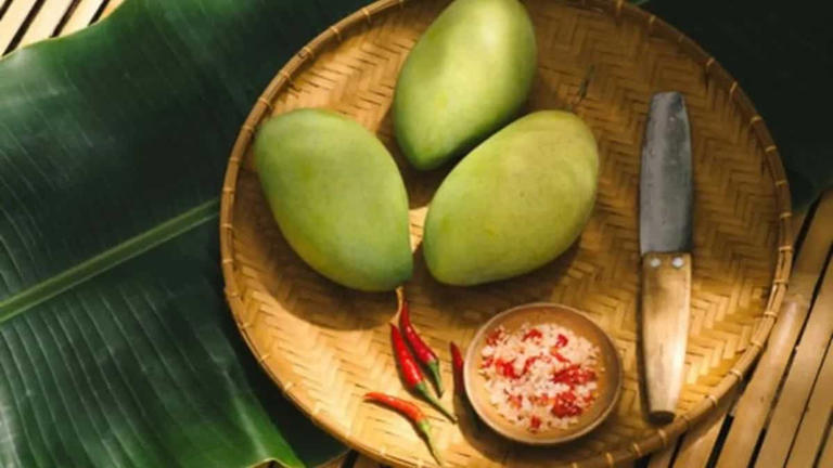 Rajapuri mango: The gentle giant of western Indian orchards