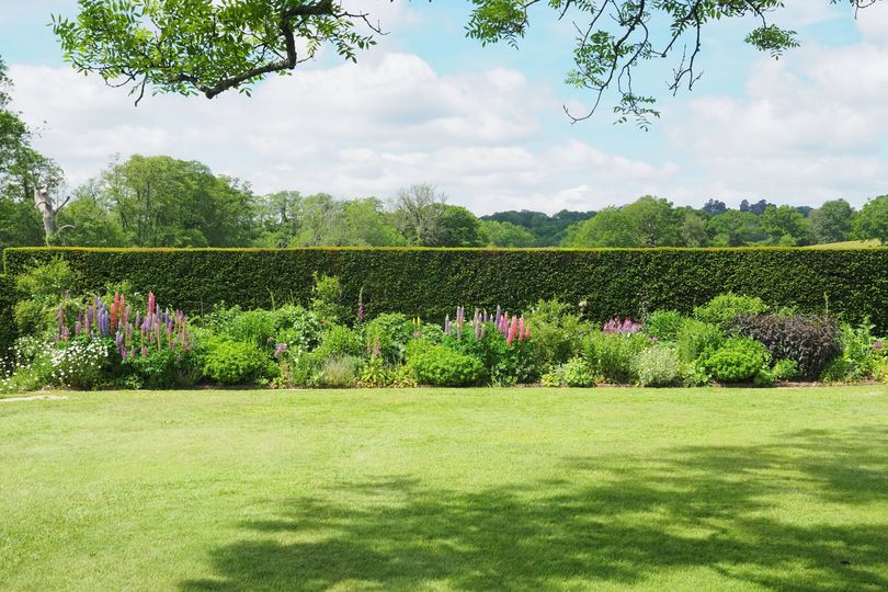 Lawns will grow thicker and greener if you sprinkle one bathroom item ...