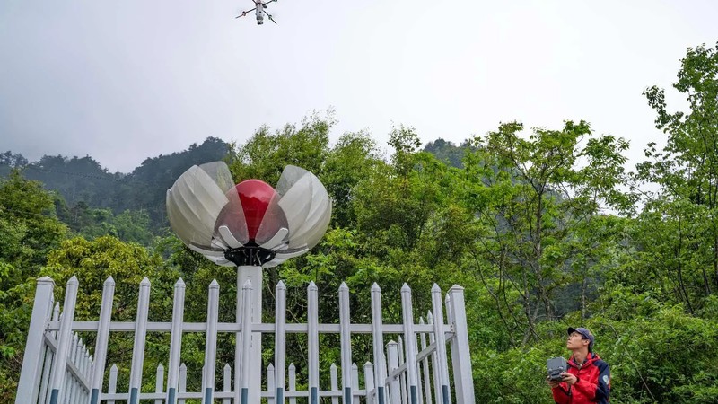 China's ecological protection red line system strengthens ecosystem ...