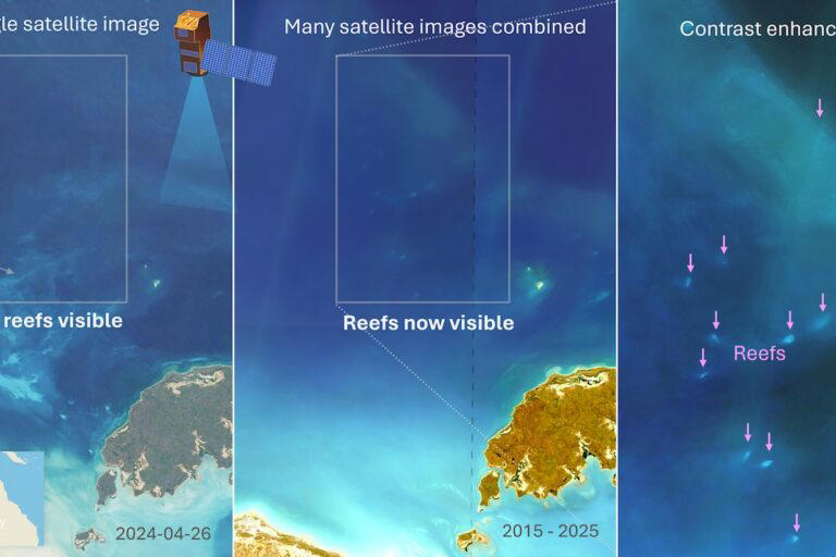 More than 1,000 uncharted coral reefs mapped in vast, understudied ...