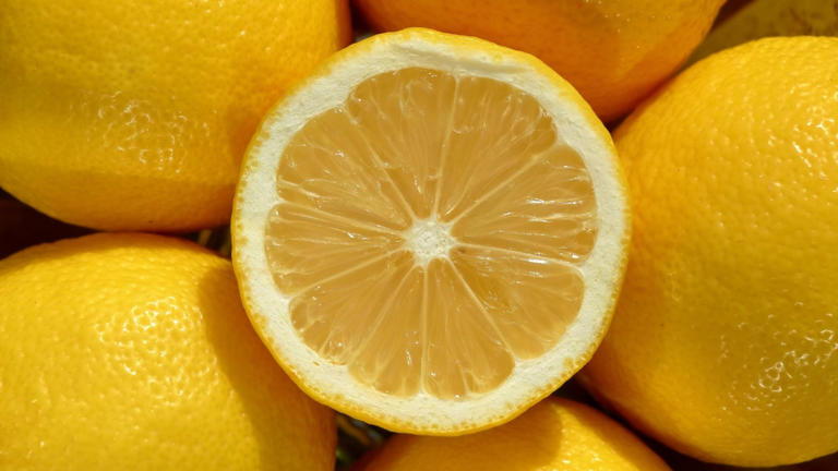 Se recomienda a los propietarios rociar la puerta principal con limón ...