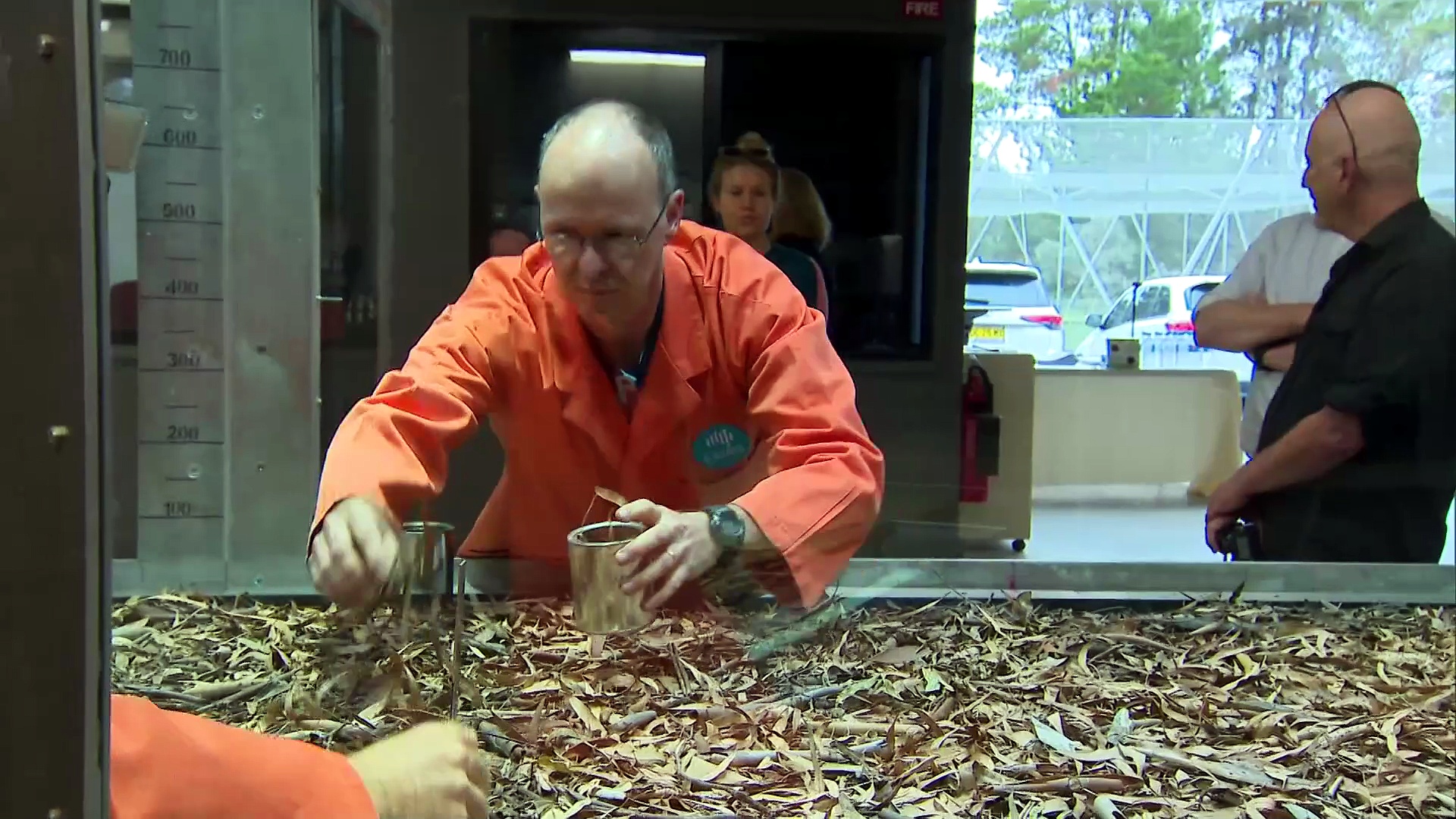 Fears for Australia’s climate change adaptability as CSIRO cuts job