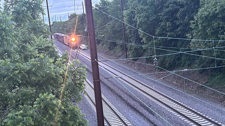 Woman hit and killed by train | Coroner releases name