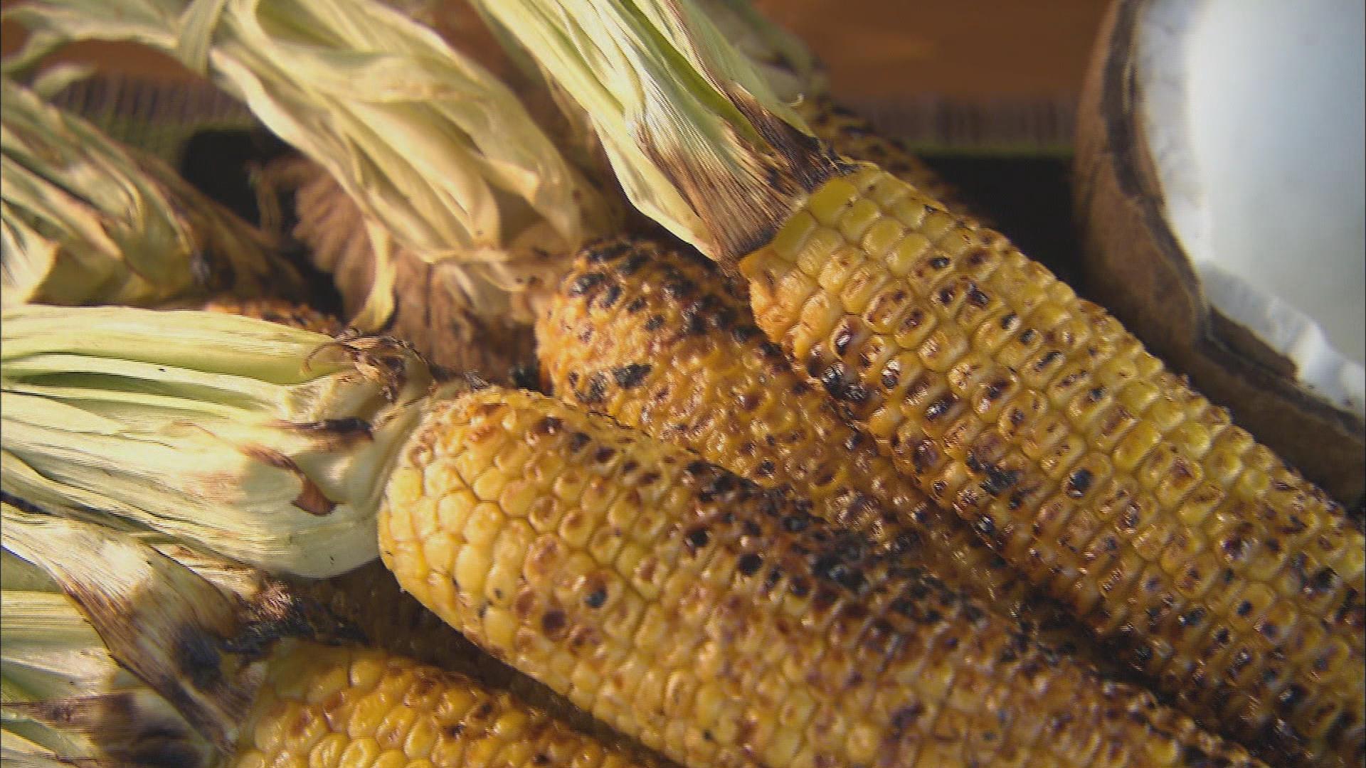 Cambodian corn