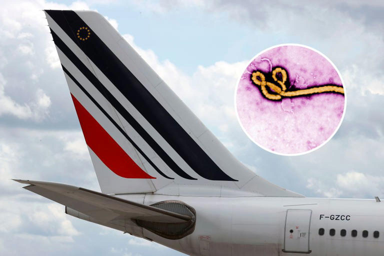 Ebola risk diverts Detroit flight as US to update travel restrictions
