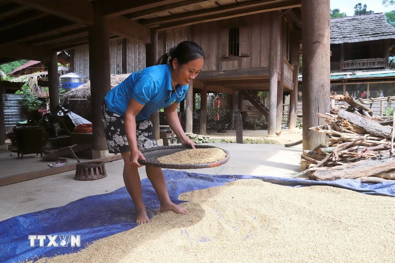 Nghệ An: Bản làng Na Ngân hồi sinh sau lũ dữ giữa đại ngàn
