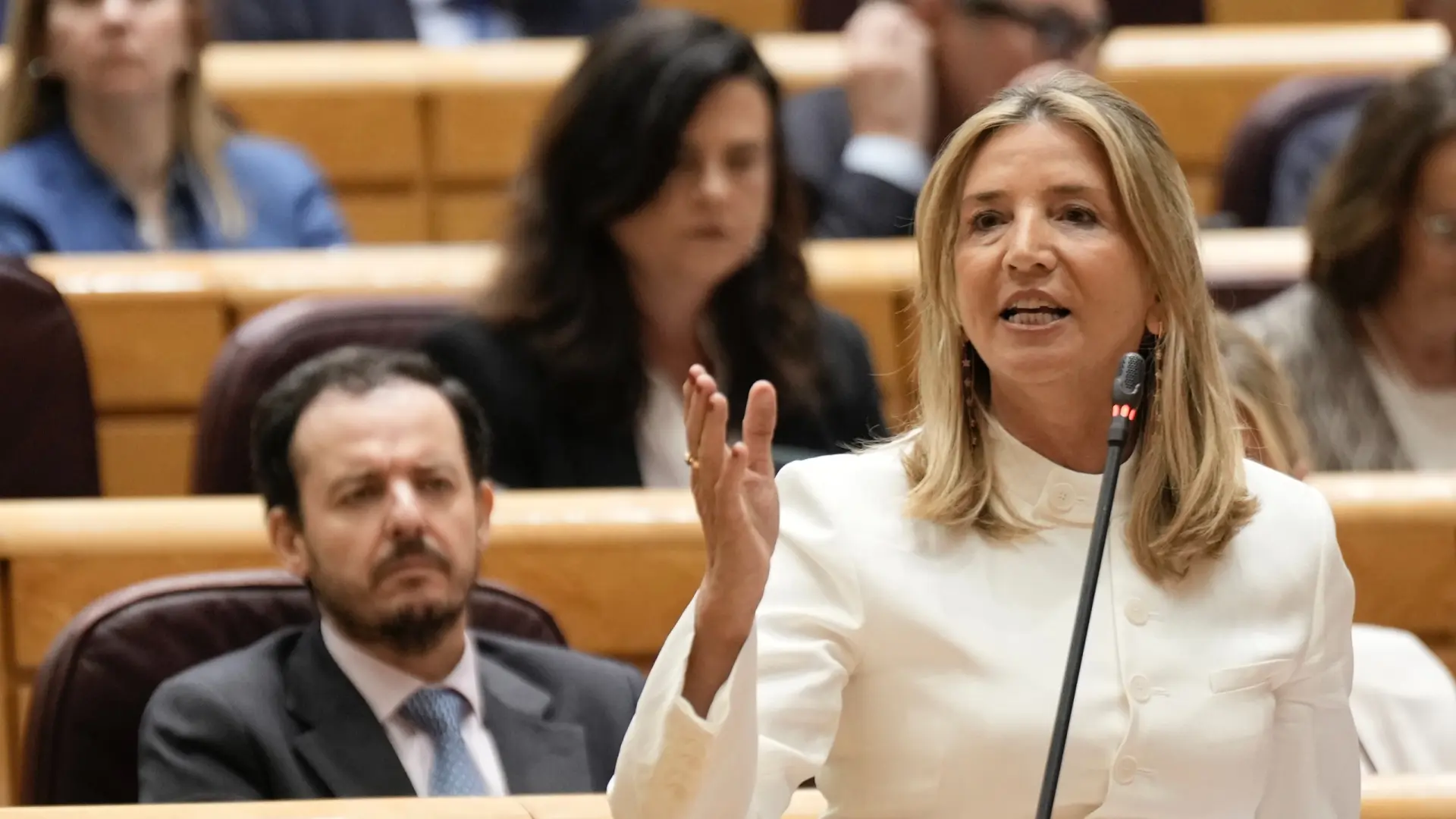 El PP citará a Escrivá en el Senado por su reunión con Zapatero antes ...