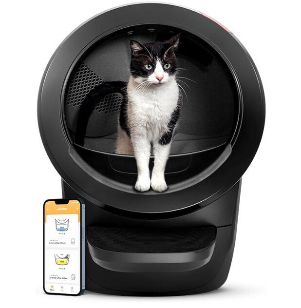 5-easy-tips-to-make-litter-training-your-cat-a-breeze