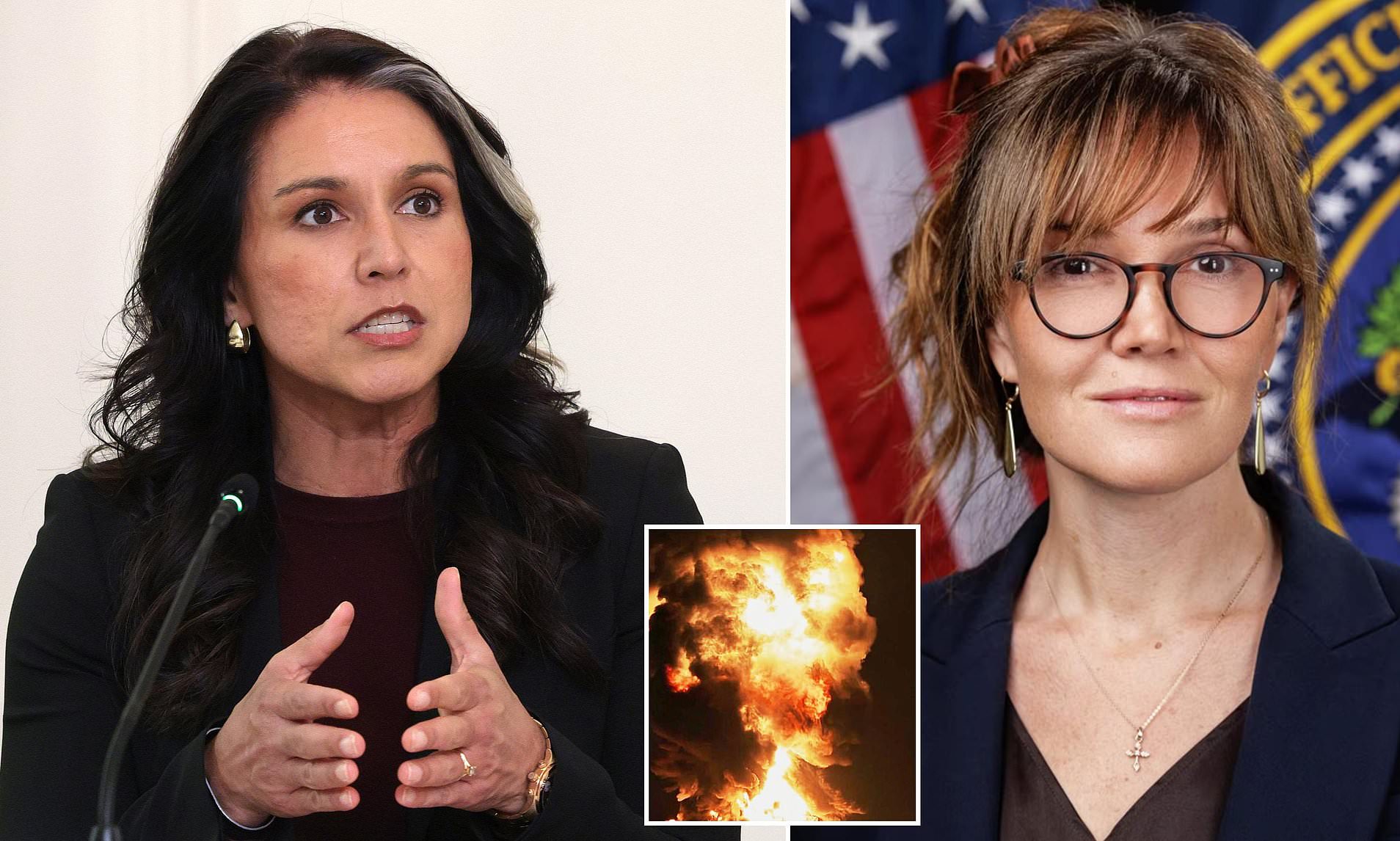 Tulsi Gabbard's glamorous ex-CIA deputy quits White House as Trump ...