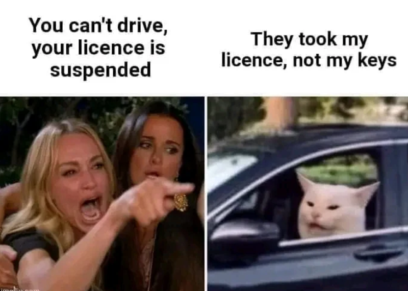 ‘The cone came out of nowhere’: 23 driver’s license memes for teen ...