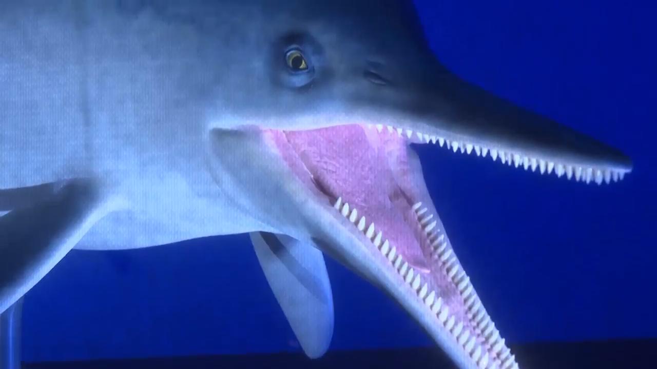 Meet the prehistoric predators that ruled the oceans in Jurassic times