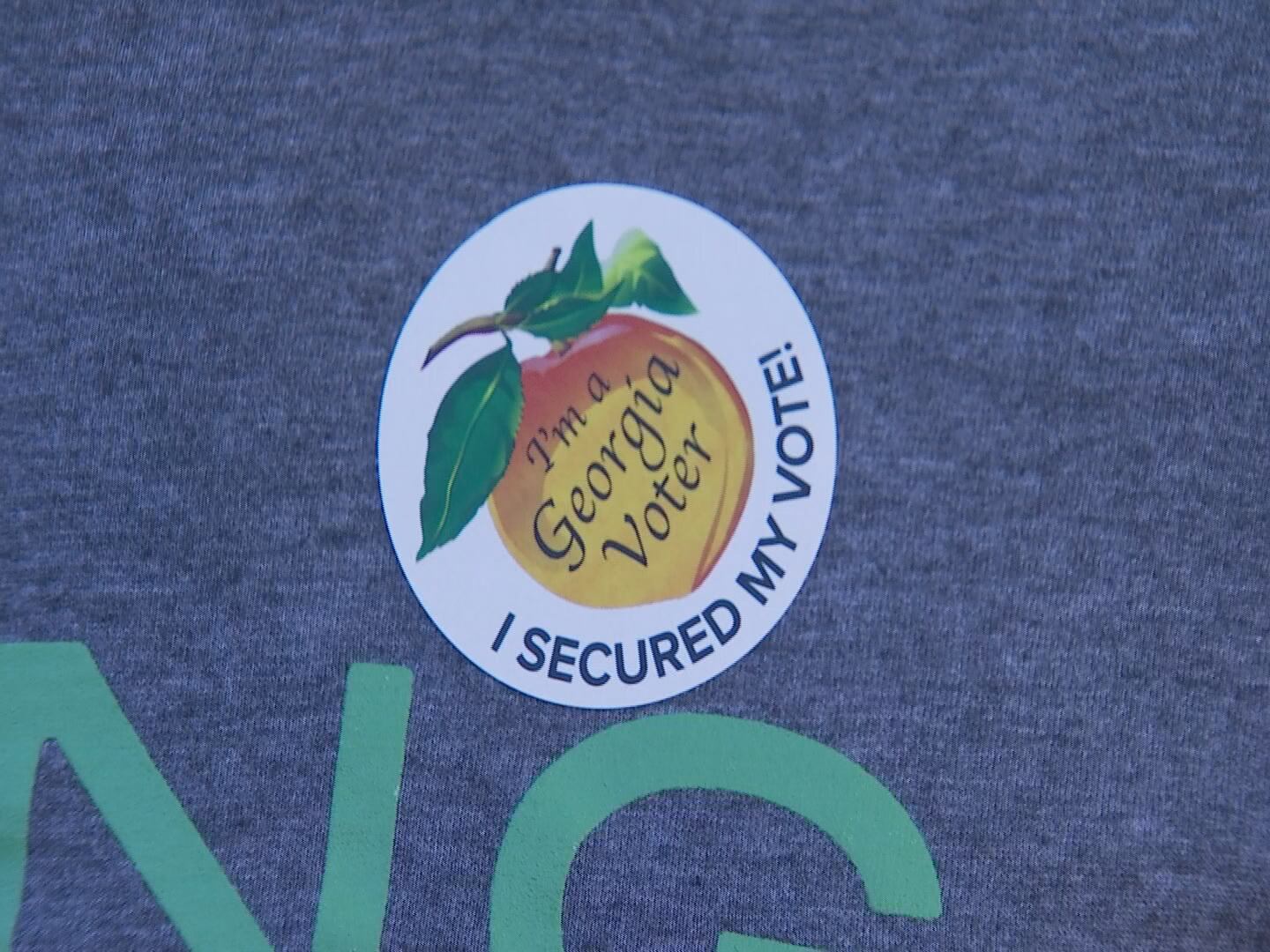 Nearly 2 million Georgians cast ballots in primary election