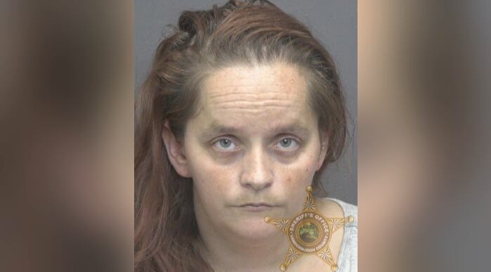 Evansville woman faces animal neglect charge after dogs found ...