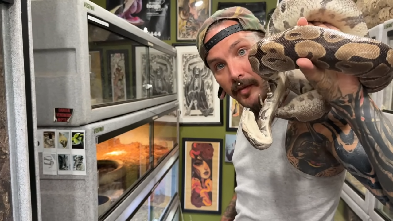 He thought it was safe - until the snake wrapped around him