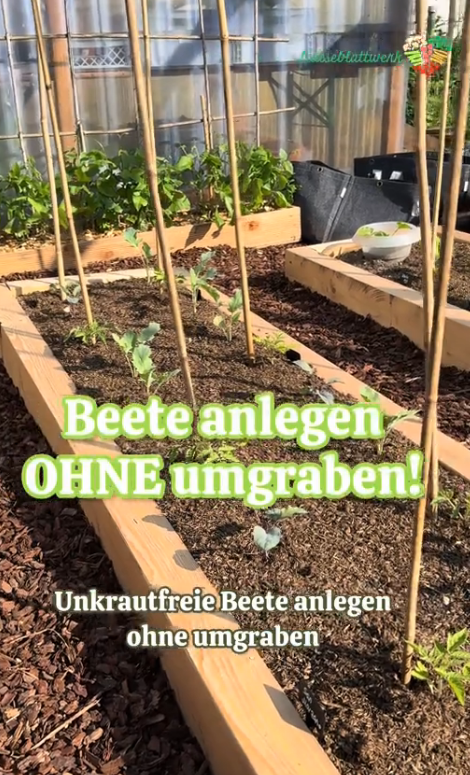 No Dig Methode im Garten ausprobieren