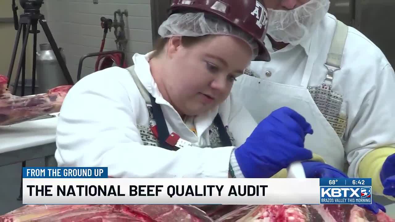 From the ground up: The National Beef Quality Audit