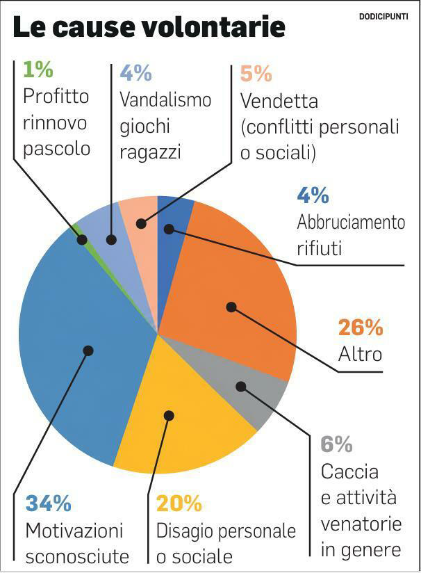 Task force antincendi, nelle Marche nel 2025 oltre 40 roghi: un terzo ...
