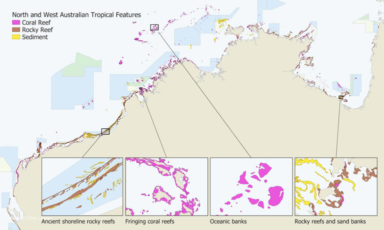More than 1,000 uncharted coral reefs mapped in vast, understudied ...