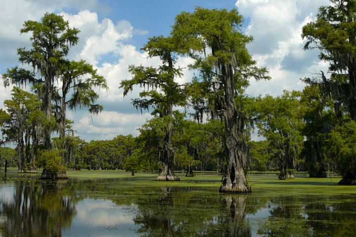 15 lakes in Texas that will leave you speechless