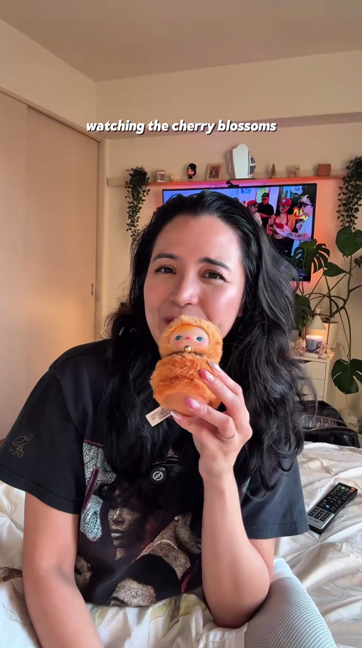 A glimpse into everyday life in Japan