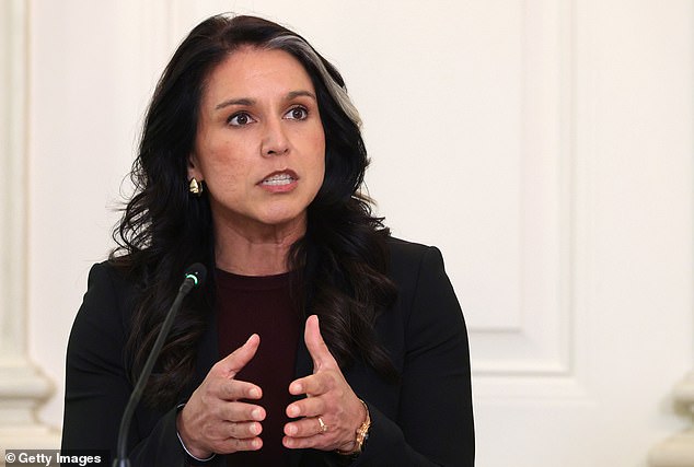 Tulsi Gabbard's glamorous ex-CIA deputy quits White House amid whispers ...