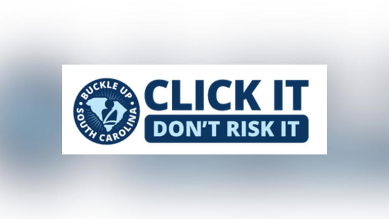 SCDPS launches '100 Deadly Days of Summer' seat belt enforcement campaign