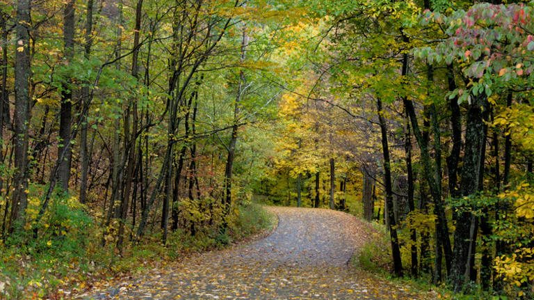 This Pennsylvania town has a Victorian main street full of eclectic ...