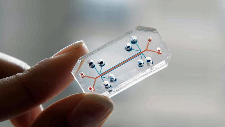 Human gut chip reveals three hidden drivers behind IBD damage and ...