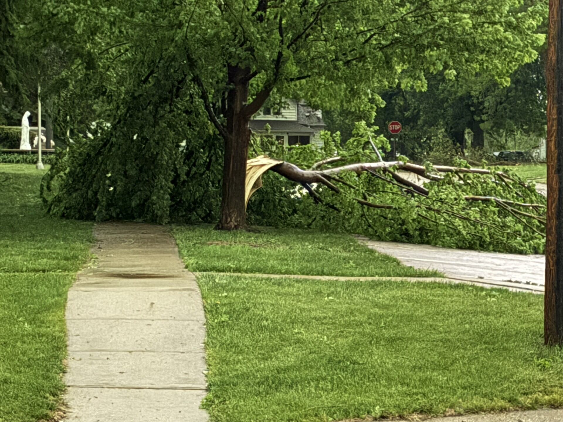Governor issues disaster proclamation for five northwest Iowa counties