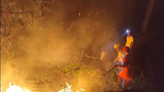 Forest fire watcher among 2 killed in separate Uttarakhand fire ...