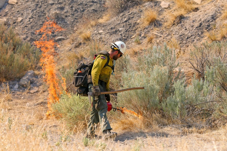 BLM restricts fire-related activities in southwest Utah due to high ...