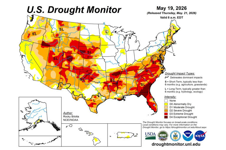 As America faces severe droughts, lawns are under scrutiny