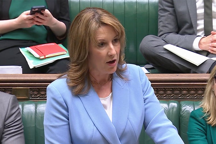 Rachel Reeves announced she would slash import tariffs on ‘staples’ (Parliament TV)