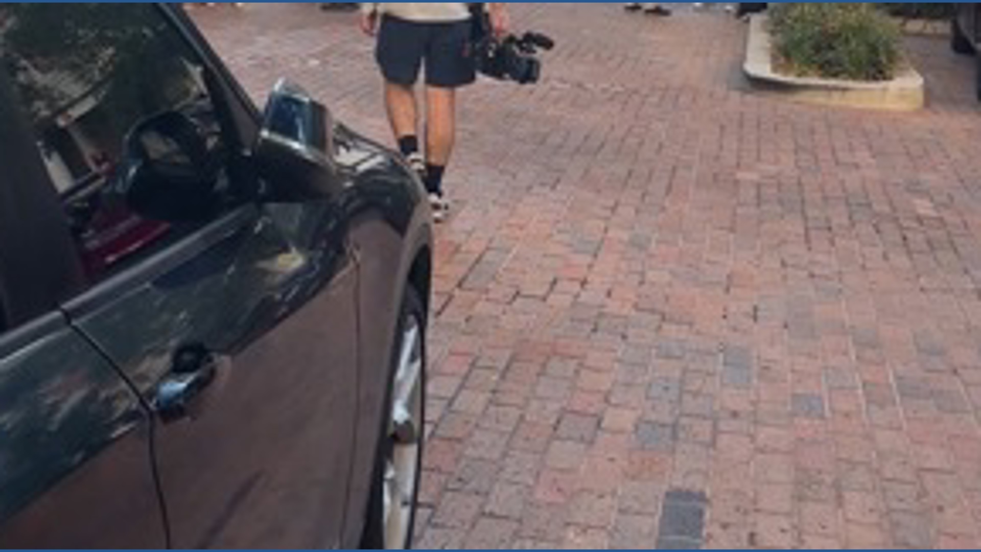 Tampa Bay Rays fans and employees show up to Tampa City Council meeting