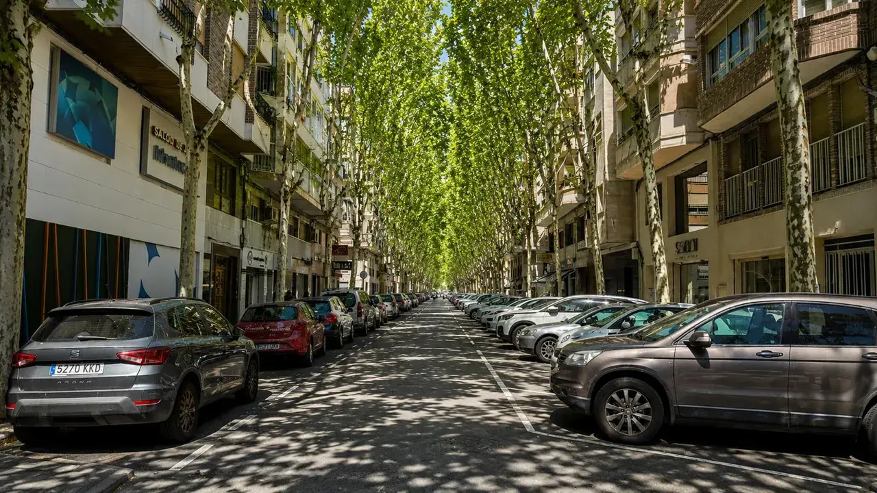 Elche expande su infraestructura verde con la plantación de 200 árboles