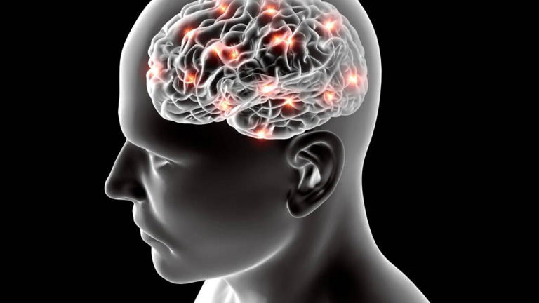 Regiões como o córtex pré-frontal são frequentemente citadas em estudos de tomada de decisão complexa e revisão de julgamentos – depositphotos.com / vampy1