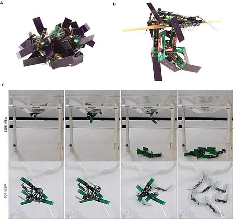Robotic collective flows like matter, adapting without centralized control