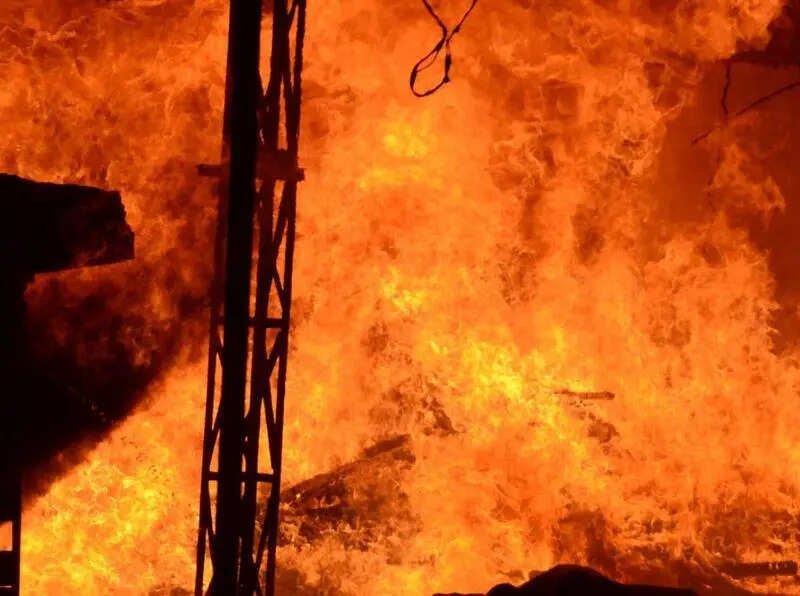 Woman self-immolation bid foiled in Rohtas