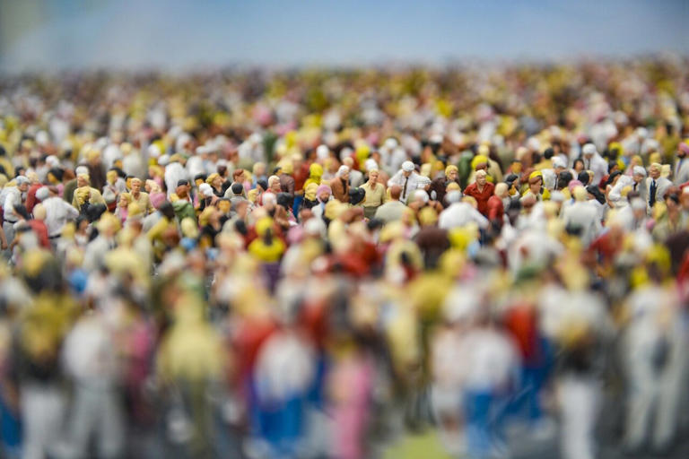 Overpopulation can impair fertility. A new study explains why