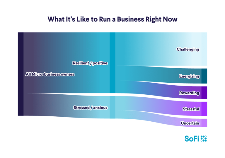 Small and mighty: SoFi survey reveals the resilience of today's micro ...