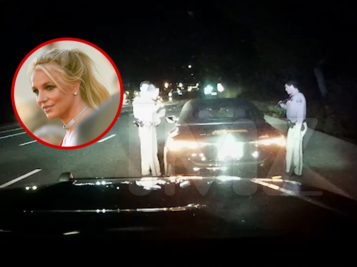 Britney Spears invites cops over for lasagna, pool time amid DUI arrest ...