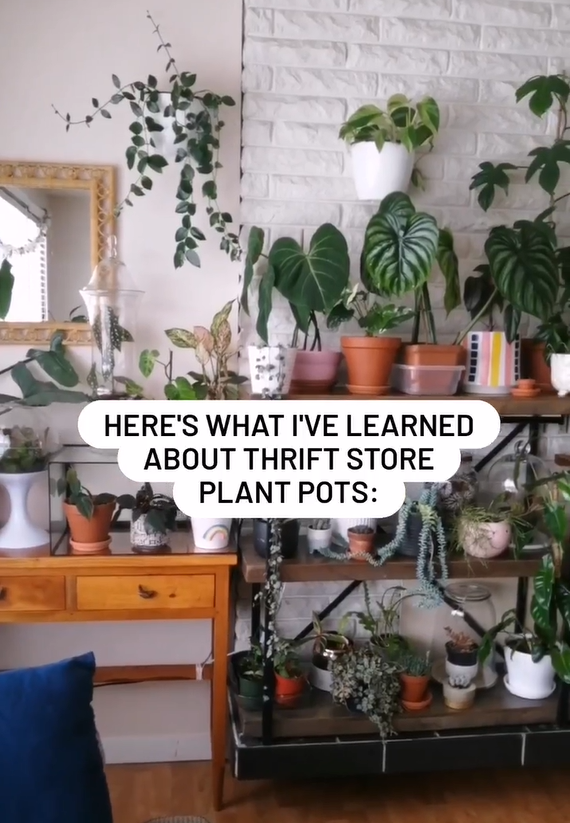 Why thrift stores are the best place for affordable unique ethical ...