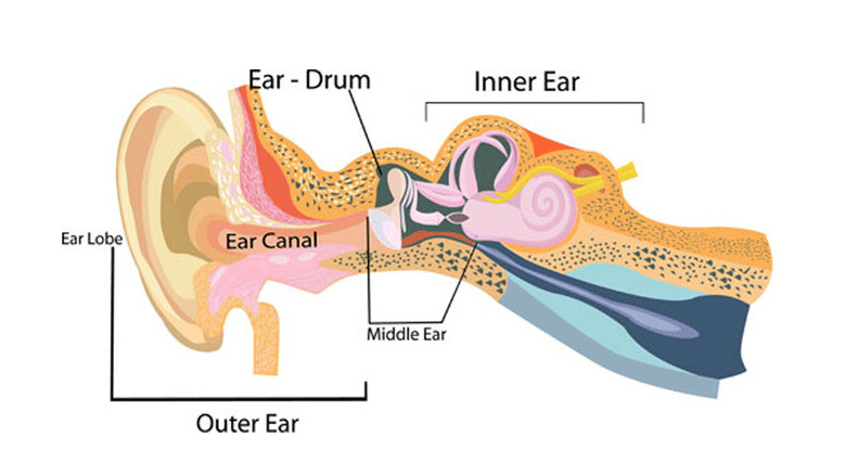 Bone conduction headphones explained: How they work, and are they safe?