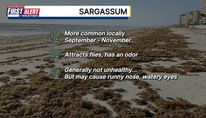 Buresh blog: Sargassum... NOAA hurricane forecast... Jags schedule ...