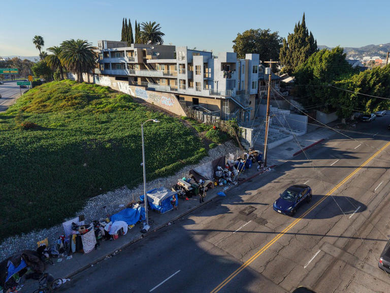More than half of LA’s homeless are from out of town