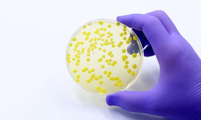 Mystery bacterial outbreak sickens more than a dozen as officials race ...