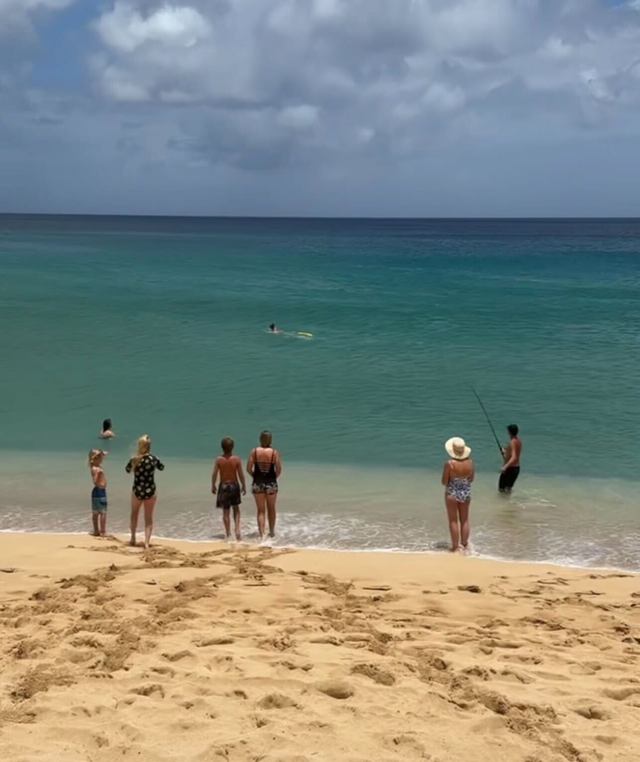 North Shore lifeguard rescues sea turtle tangled in fishing line at ...