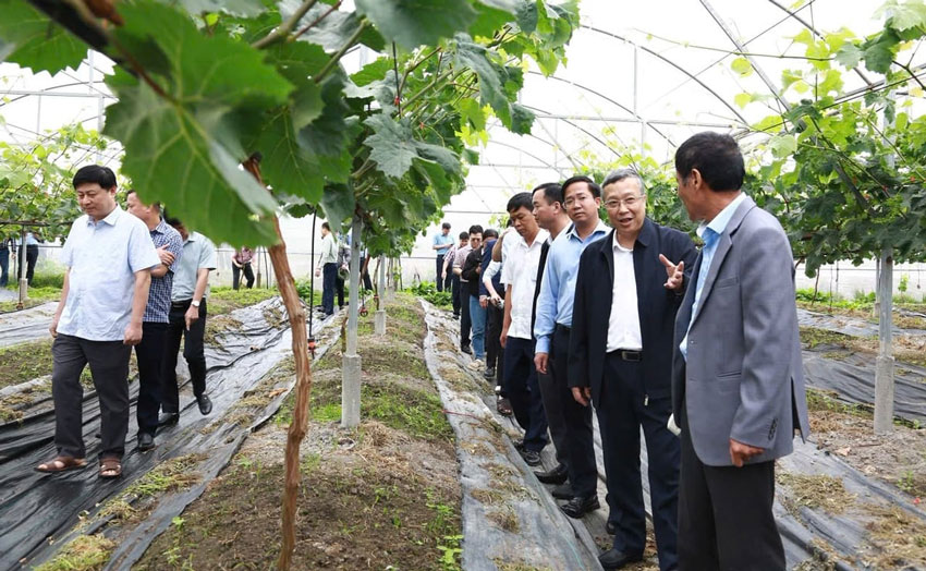 Bộ Nông nghiệp và Môi trường làm việc với Lào Cai về phát triển nông nghiệp xanh