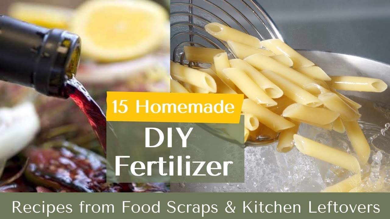 Turn kitchen scraps into powerful homemade fertilizer