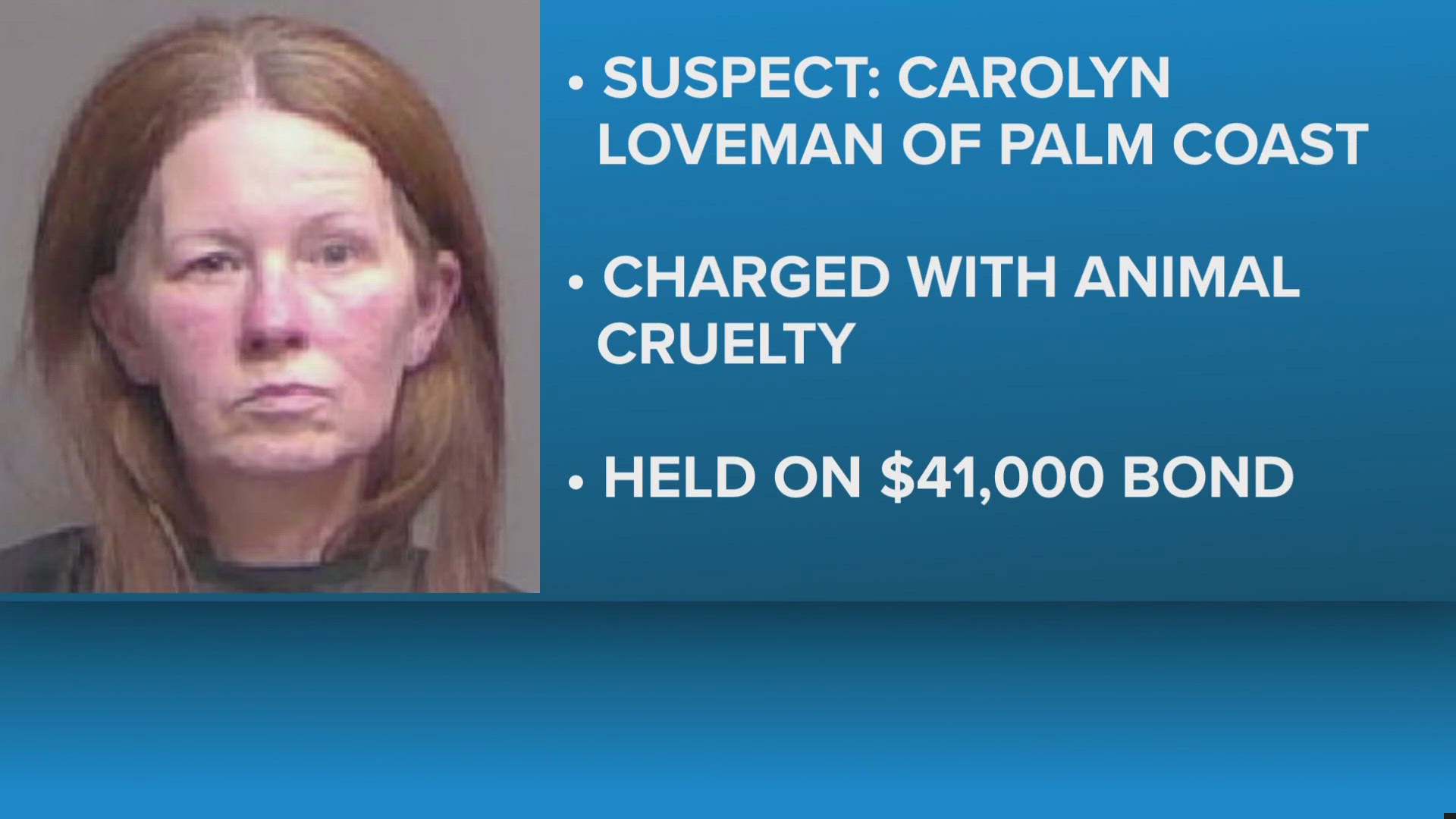 Palm Coast woman arrested on felony animal cruelty charge after 51 dogs ...